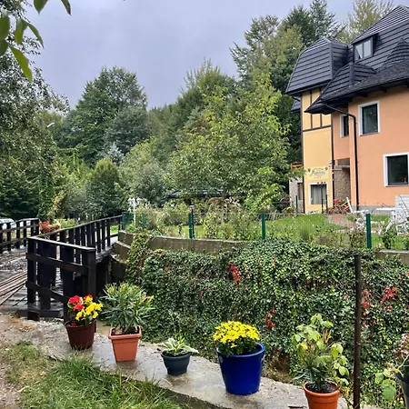 Montana Guest house 3*