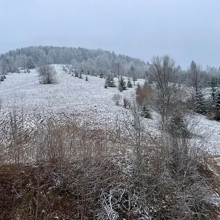 Montana Sucevita