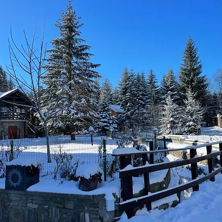Montana Guest house 3*
